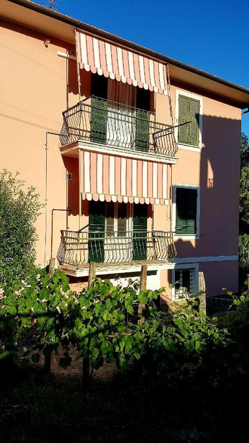 Casa Rosa Apartment Sestri Levante Exterior photo
